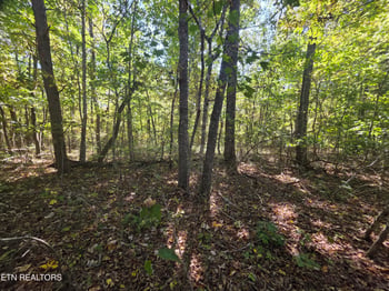 L6 Cumberland Lakes Dr, Monterey, TN 38574