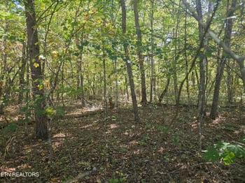 L7 Cumberland Lakes Dr, Monterey, TN 38574