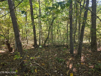 L7 Cumberland Lakes Dr, Monterey, TN 38574