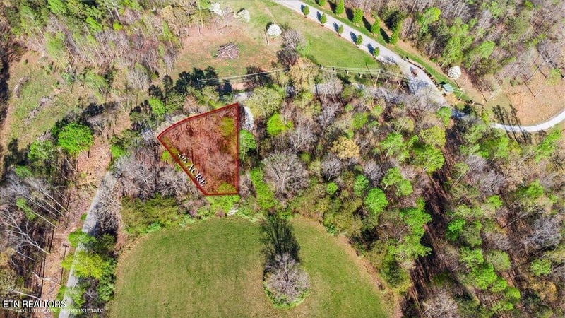 Lafollette, TN 37766