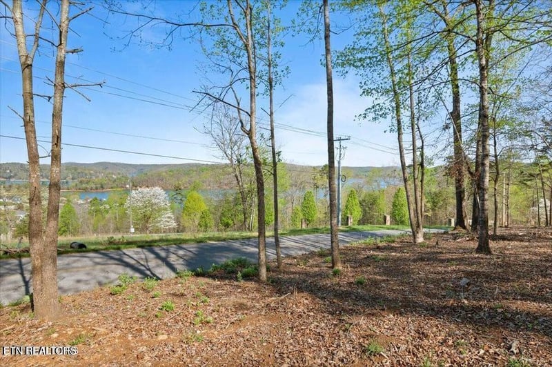 Lafollette, TN 37766