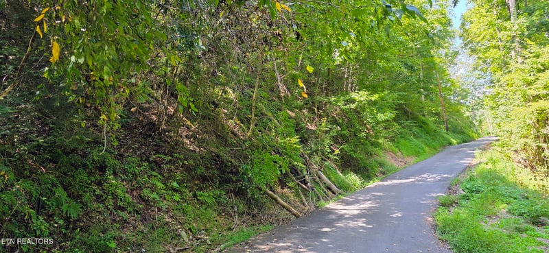 Lot 0005 Sugar Maple Loop Rd, Sevierville, TN 37862