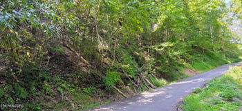 Lot 0005 Sugar Maple Loop Rd, Sevierville, TN 37862