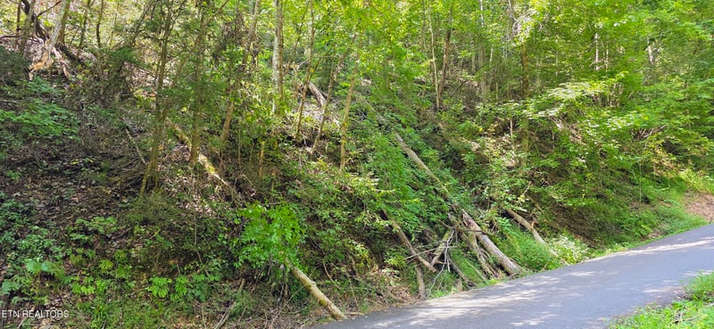 Lot 0005 Sugar Maple Loop Rd, Sevierville, TN 37862