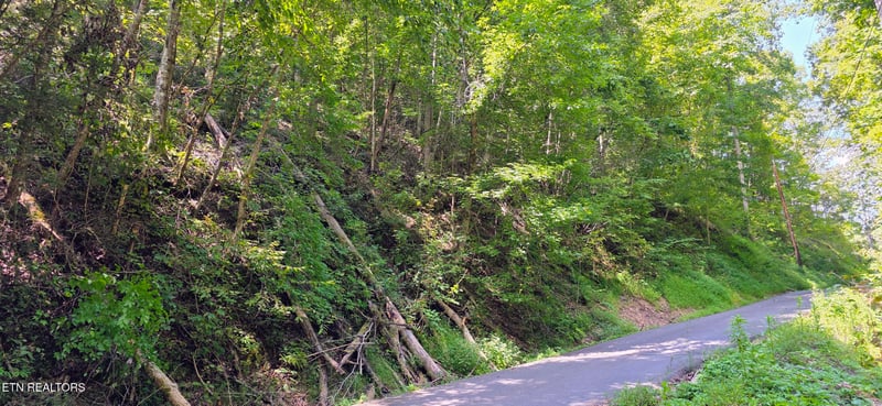 Lot 0005 Sugar Maple Loop Rd, Sevierville, TN 37862