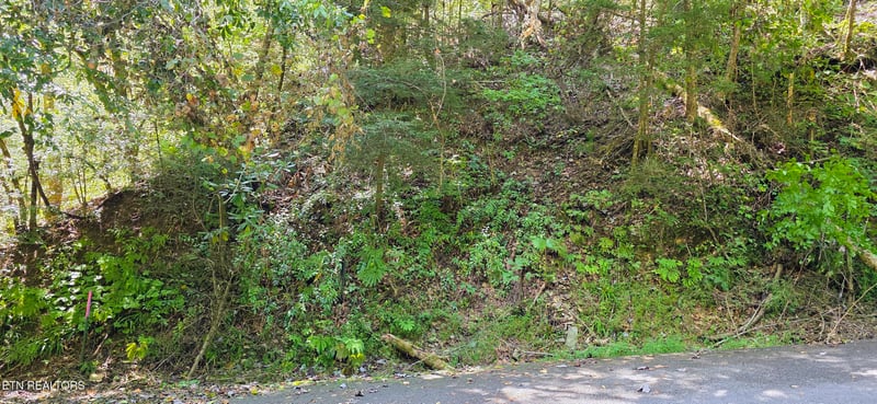 Lot 0005 Sugar Maple Loop Rd, Sevierville, TN 37862