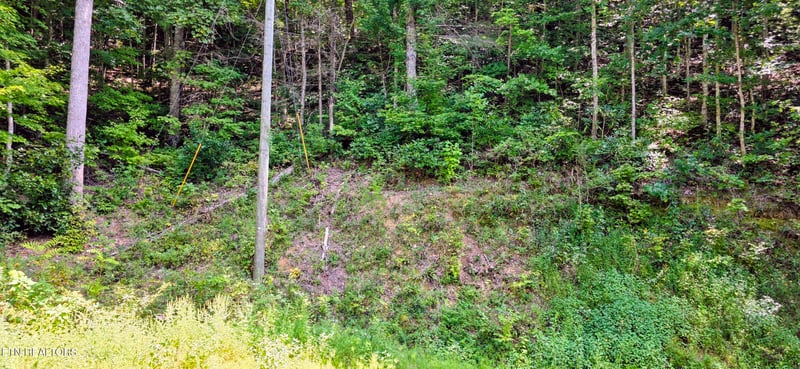 Lot 0024 Sugar Maple Loop Rd, Sevierville, TN 37862