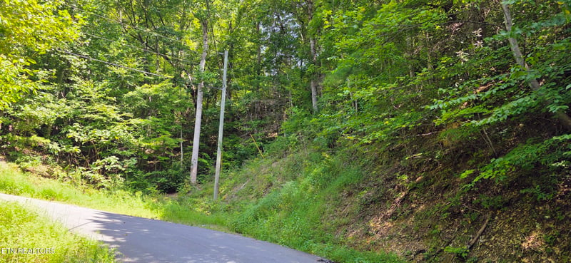 Lot 0024 Sugar Maple Loop Rd, Sevierville, TN 37862