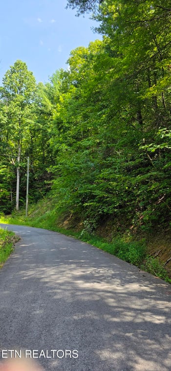 Lot 0024 Sugar Maple Loop Rd, Sevierville, TN 37862