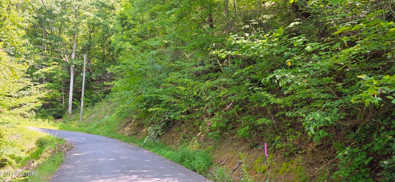 Lot 0024 Sugar Maple Loop Rd, Sevierville, TN 37862