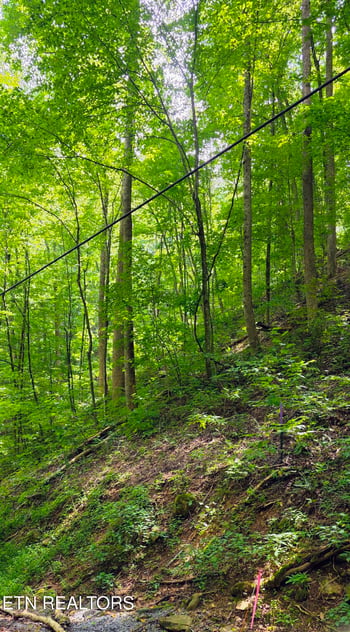 Lot 0025 Black Walnut Flats Rd, Sevierville, TN 37862