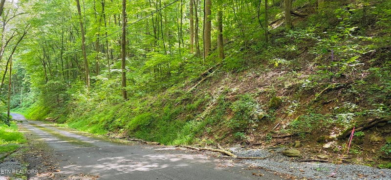 Lot 0025 Black Walnut Flats Rd, Sevierville, TN 37862