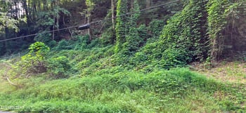 Lot 0039 Black Walnut Flats Rd, Sevierville, TN 37862