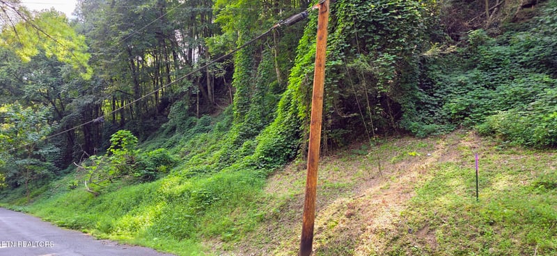 Lot 0039 Black Walnut Flats Rd, Sevierville, TN 37862