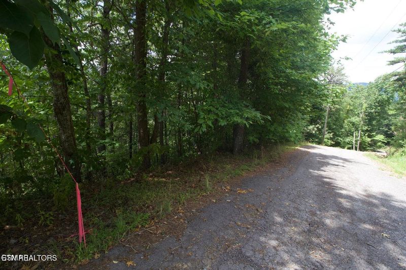 Lot 007B Shagbark Hickory Rg, Sevierville, TN 37862