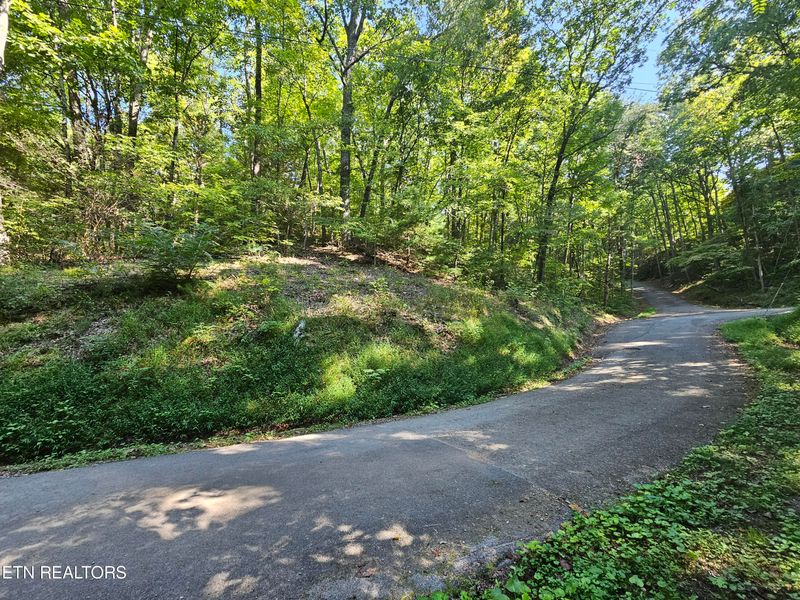 Lot 0176 Tsali Dr, Sevierville, TN 37876