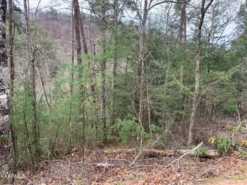 Lot 0251 Ski View Ln, Sevierville, TN 37863