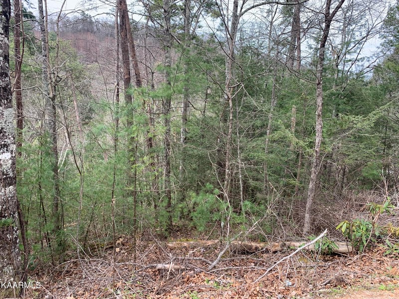 Lot 0251 Ski View Ln, Sevierville, TN 37863