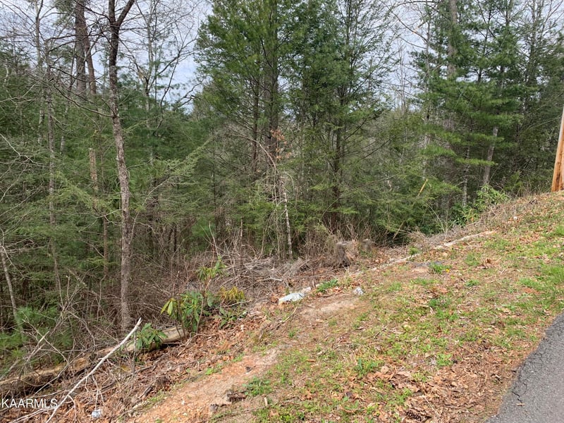 Lot 0251 Ski View Ln, Sevierville, TN 37863