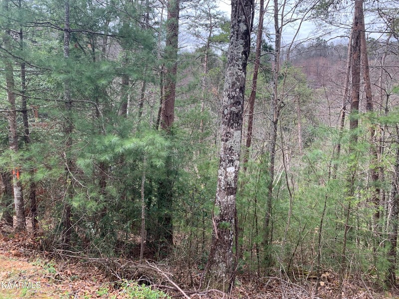 Lot 0251 Ski View Ln, Sevierville, TN 37863