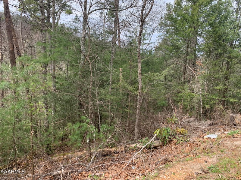 Lot 0251 Ski View Ln, Sevierville, TN 37863