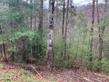 Lot 0251 Ski View Ln, Sevierville, TN 37863