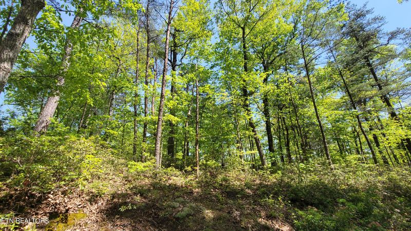 Lot 037A Chinquapin Dr, Sevierville, TN 37876