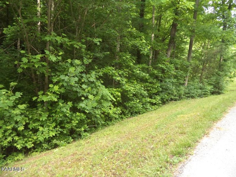lot 1 - 2 Ashley Ln, Oneida, TN 37841