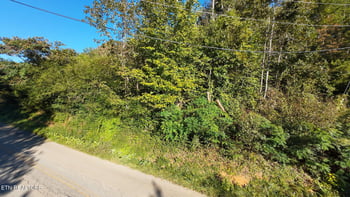 Lot 1 - 2 Butler Mill Rd, Maryville, TN 37803