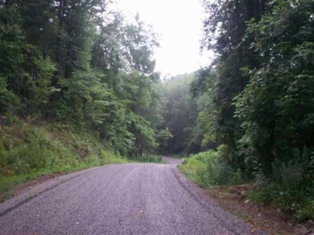Lot 1 - 2 Mount Pleasant Rd, Vonore, TN 37885