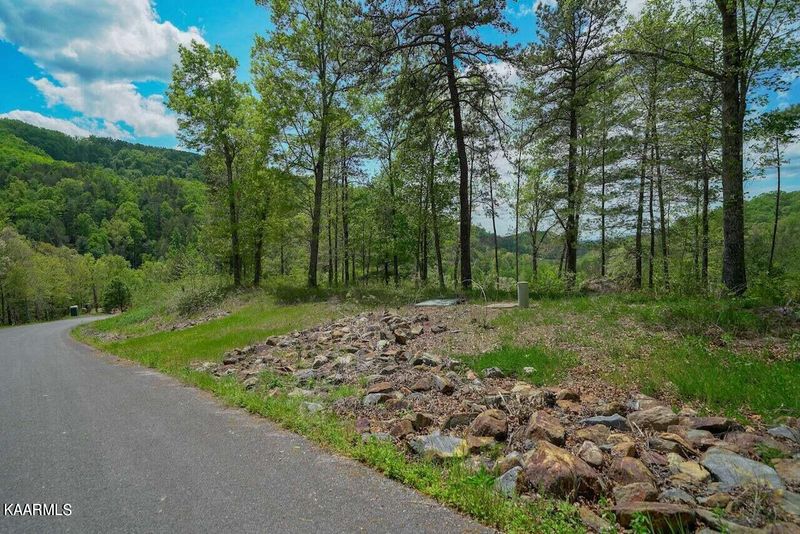 Lot 1 - 2 Mountain Ash Way, Sevierville, TN 37876