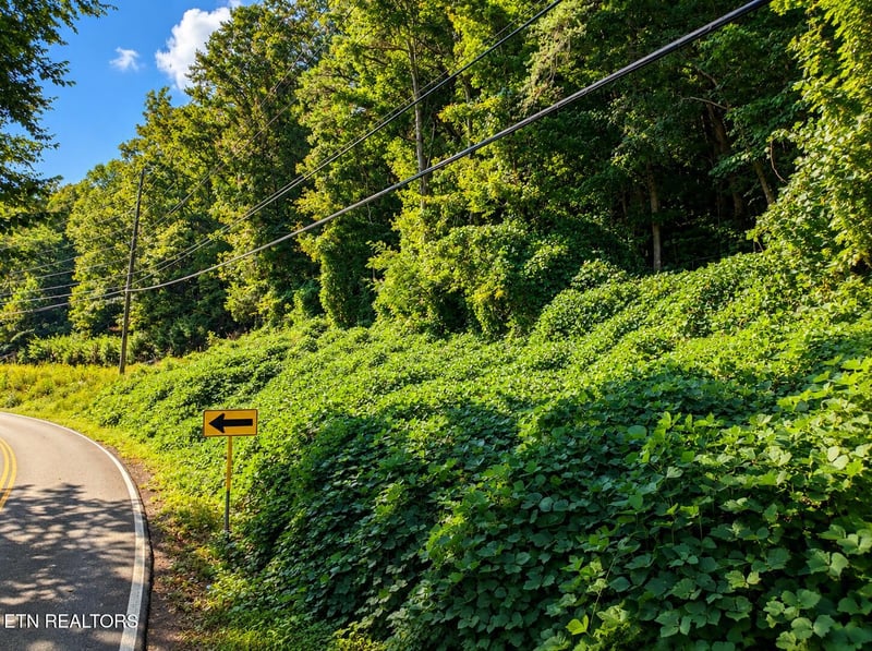 Lot 1 - 2 Pittman Center Rd, Sevierville, TN 37876