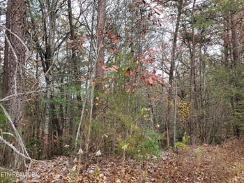Lot 1 - 2 Ridgeview Dr, Sevierville, TN 37876