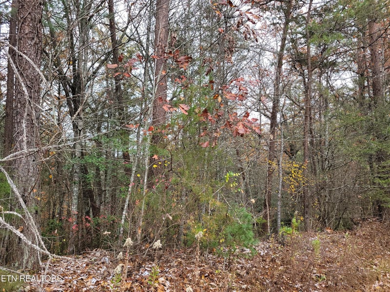 Lot 1 - 2 Ridgeview Dr, Sevierville, TN 37876