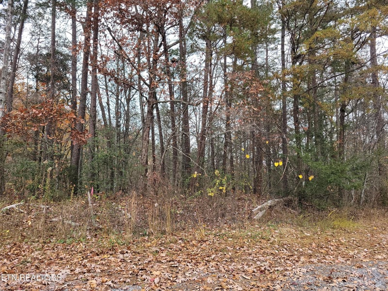 Lot 1 - 2 Ridgeview Dr, Sevierville, TN 37876
