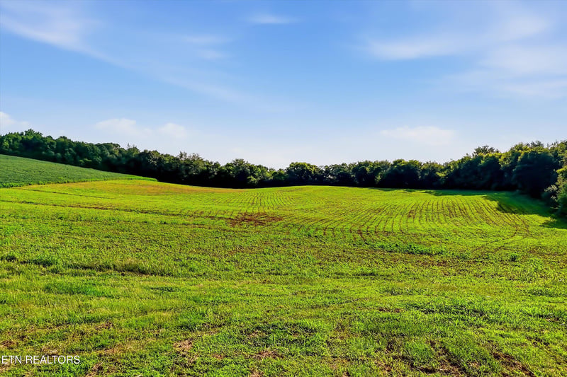 Lot 1 6000 Riverview Rd, Lenoir City, TN 37771