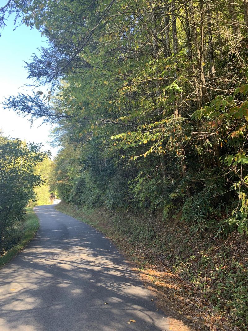 Lot 1-A Grassy Branch Loop, Sevierville, TN 37876