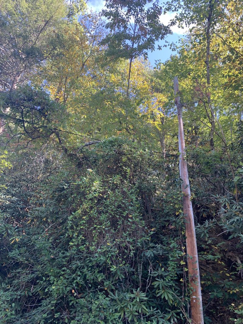 Lot 1-A Grassy Branch Loop, Sevierville, TN 37876