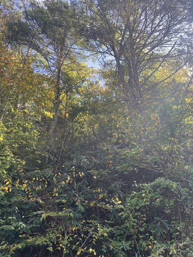 Lot 1-A Grassy Branch Loop, Sevierville, TN 37876