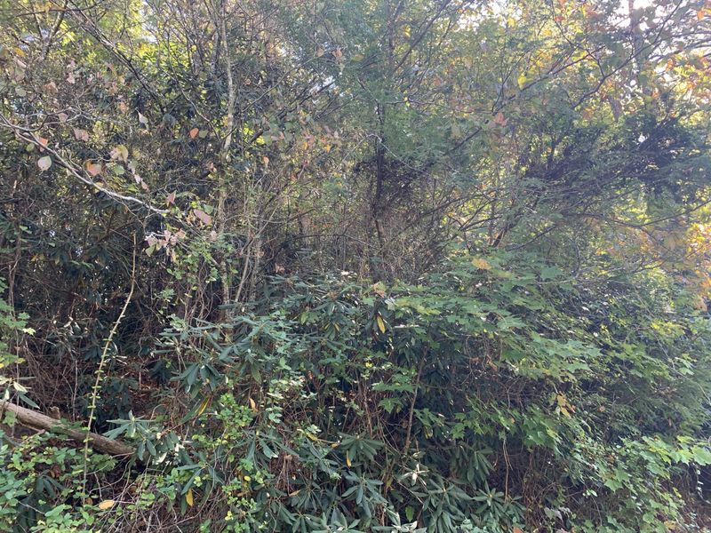 Lot 1-A Grassy Branch Loop, Sevierville, TN 37876