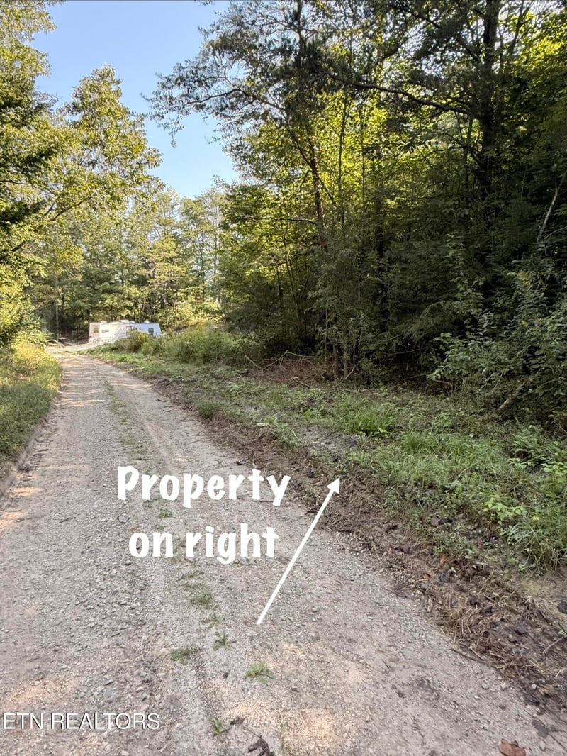 Lot 1 Big Four Rd, Lafollette, TN 37766
