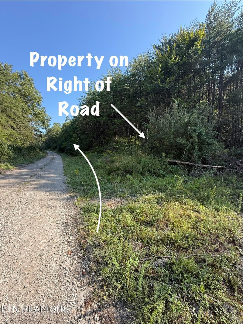 Lot 1 Big Four Rd, Lafollette, TN 37766