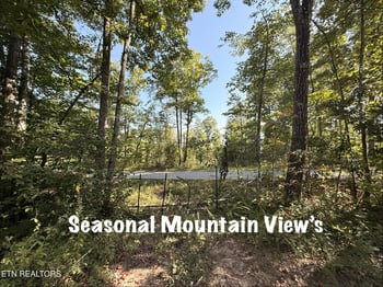 Lot 1 Big Four Rd, Lafollette, TN 37766