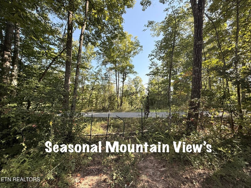 Lot 1 Big Four Rd, Lafollette, TN 37766