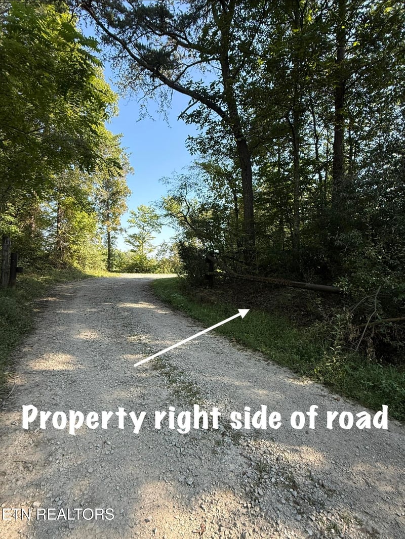 Lot 1 Big Four Rd, Lafollette, TN 37766