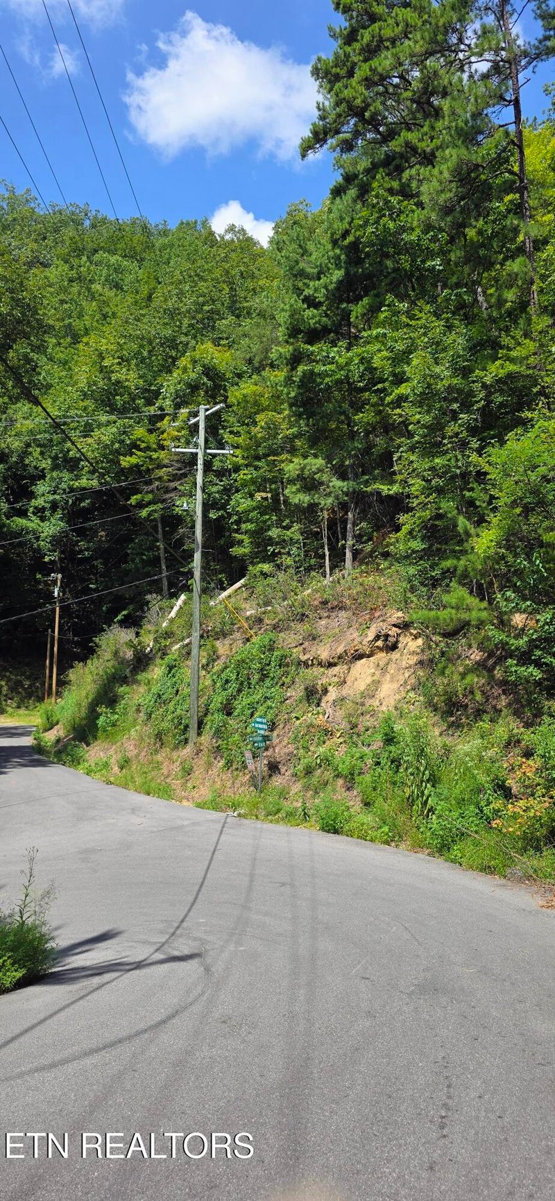Lot 1 Black Walnut Flats Rd, Sevierville, TN 37862
