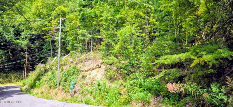 Lot 1 Black Walnut Flats Rd, Sevierville, TN 37862