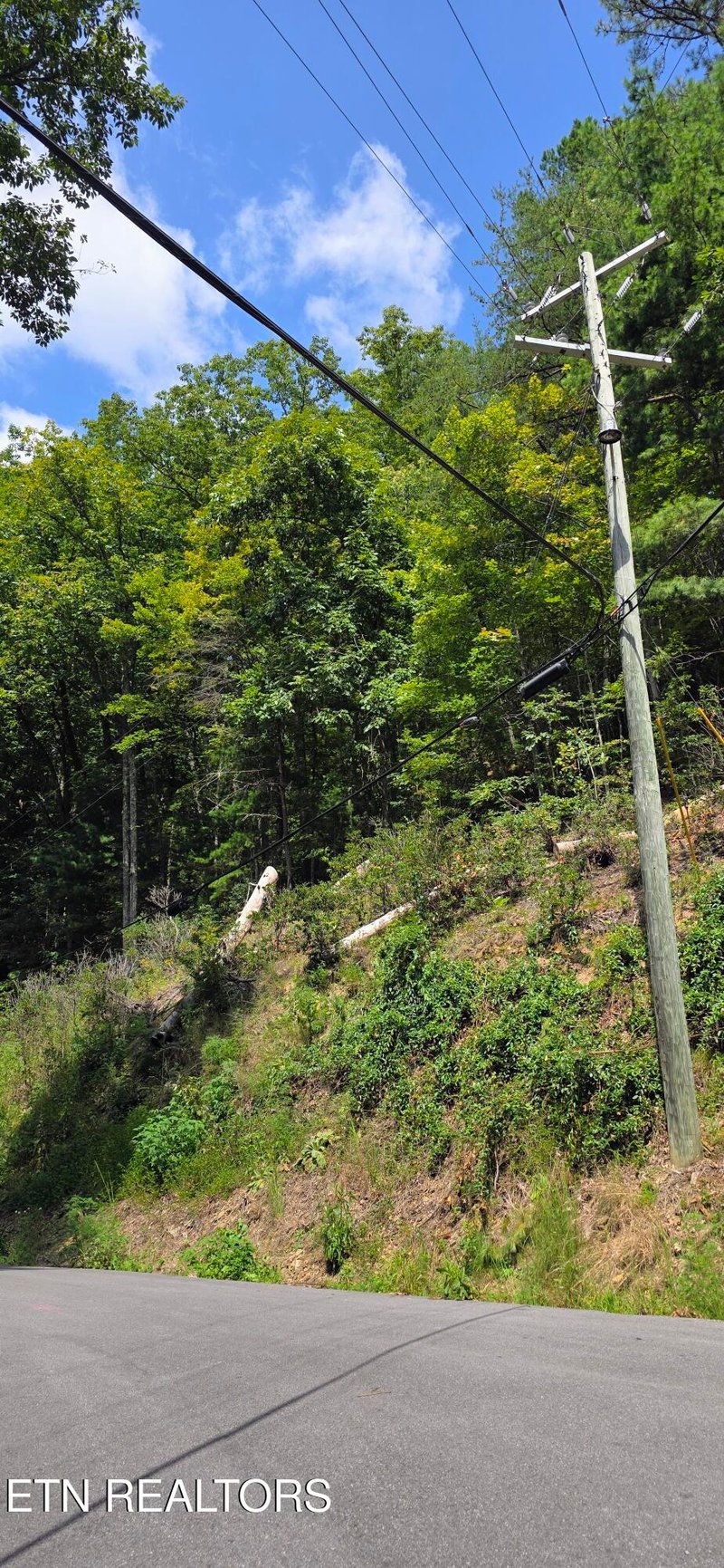 Lot 1 Black Walnut Flats Rd, Sevierville, TN 37862