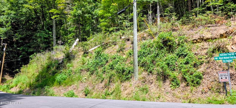 Lot 1 Black Walnut Flats Rd, Sevierville, TN 37862