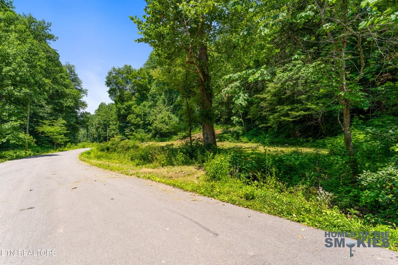 Lot 1 Carrs Creek Rd, Townsend, TN 37882